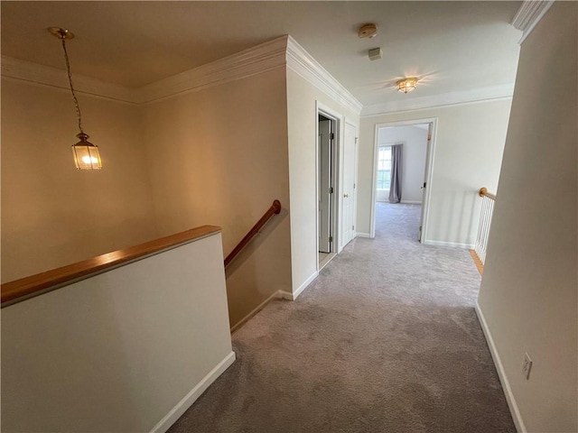 corridor featuring carpet and ornamental molding