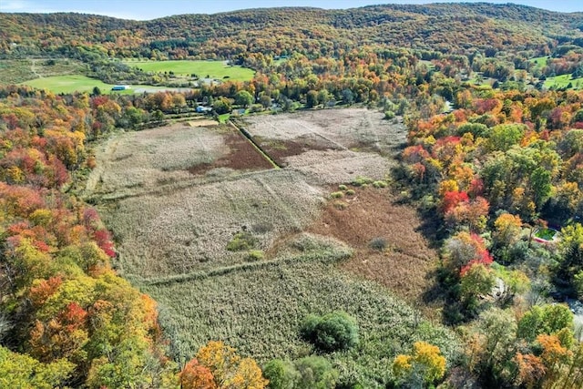 271AND231 Smith Clove Rd, Highland Mills NY, 10930 land for sale