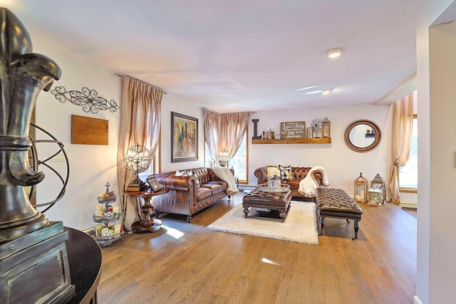 living area featuring wood finished floors