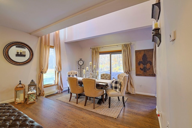 dining area featuring a baseboard radiator, wood finished floors, and baseboards