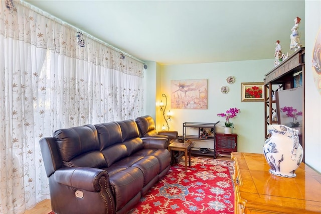 living room with wood-type flooring