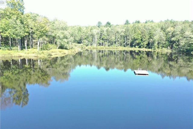 view of water feature featuring a boat dock