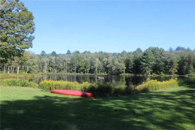 view of yard featuring a water view