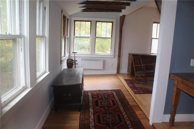 hallway featuring hardwood / wood-style floors, plenty of natural light, lofted ceiling, and radiator