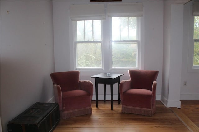 sitting room featuring a wealth of natural light and hardwood / wood-style floors