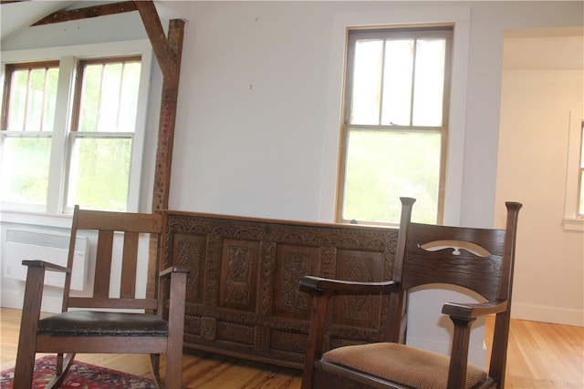 living area featuring vaulted ceiling, a wealth of natural light, and light hardwood / wood-style flooring