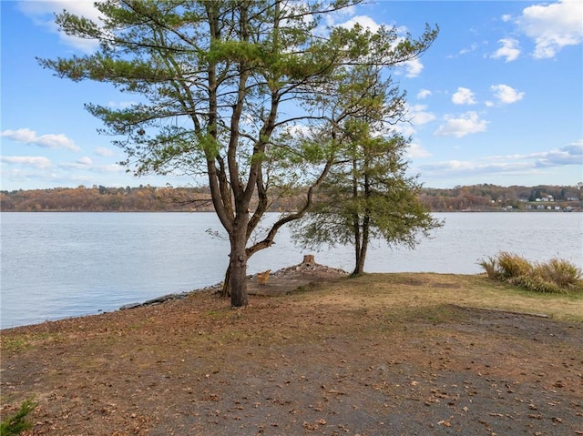 property view of water