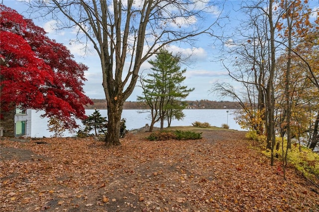 view of water feature