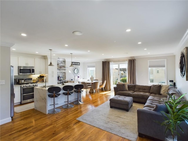 living room with sink, crown molding, and light hardwood / wood-style flooring