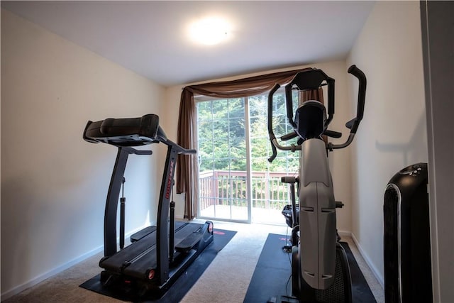 workout area with carpet flooring