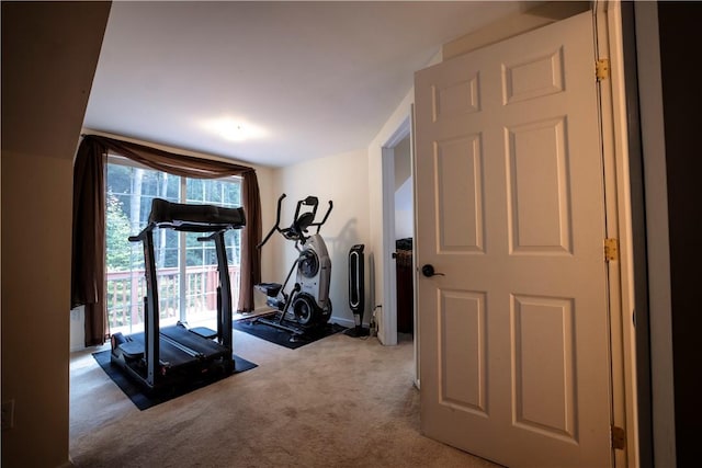 workout area featuring carpet