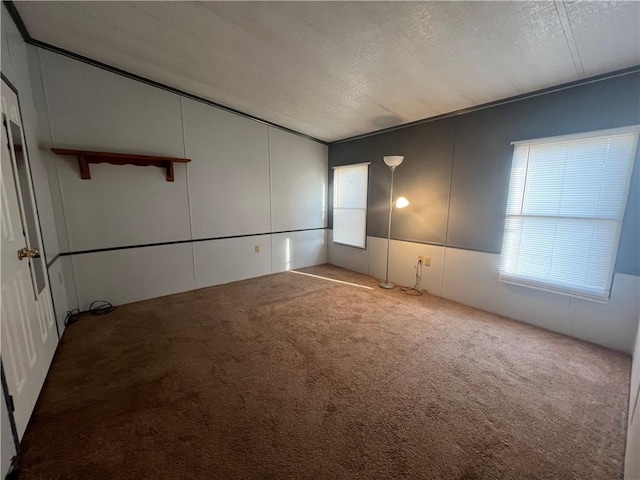 spare room featuring a wealth of natural light, carpet floors, and a textured ceiling