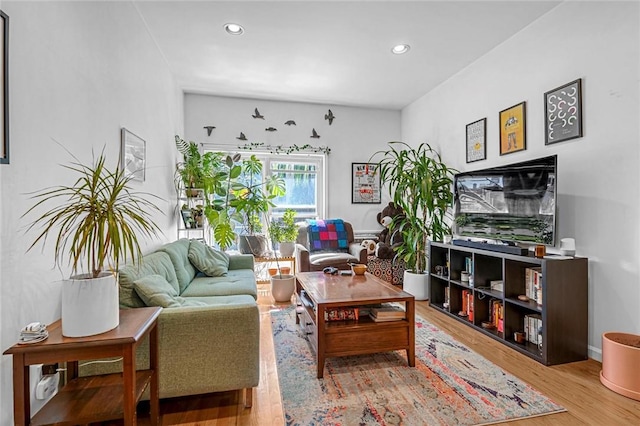 living room featuring hardwood / wood-style flooring