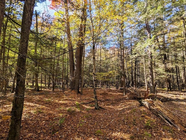 Moscoe Rd, Bethel, NY 12786 - photo 1