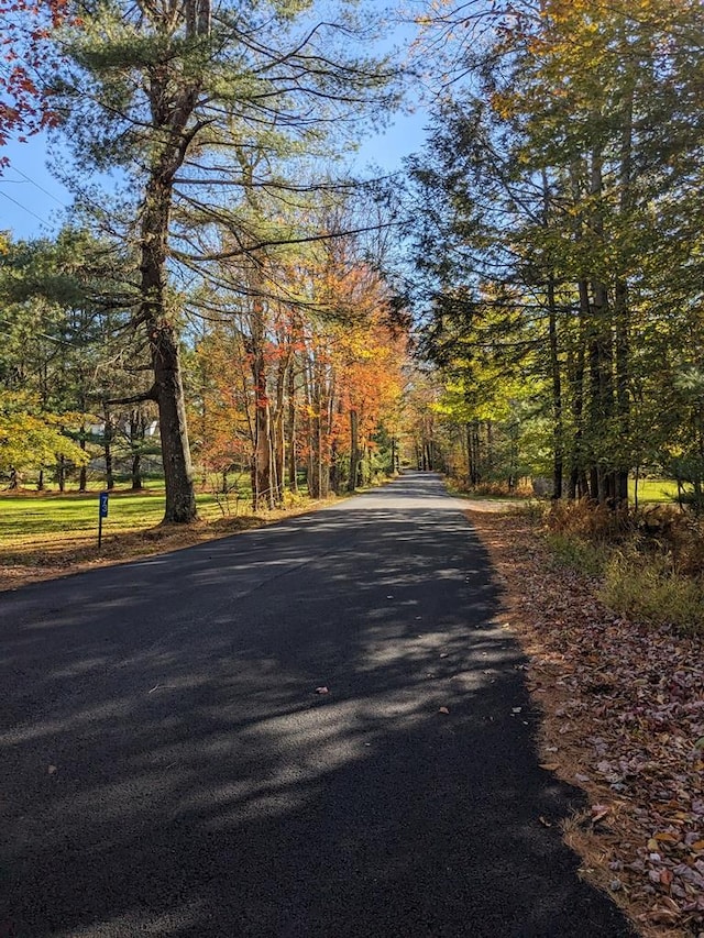 Moscoe Rd, Bethel, NY 12786 - photo 2