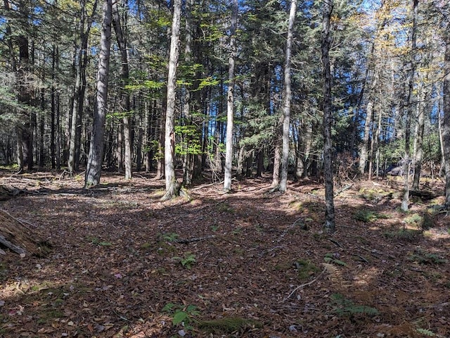 Moscoe Rd, Bethel, NY 12786 - photo 3