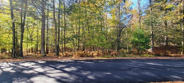 Moscoe Rd, Bethel, NY 12786 - photo 6