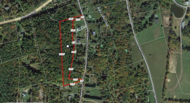Moscoe Rd, Bethel, NY 12786 - photo 8