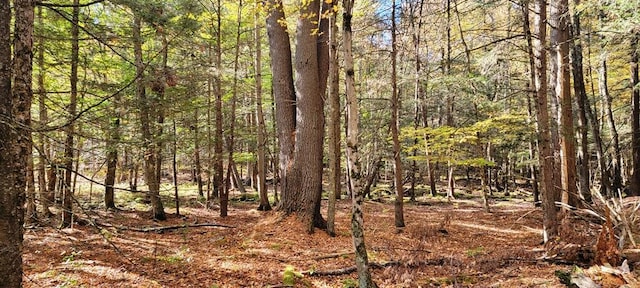 Moscoe Rd, Bethel, NY 12786 - photo 9