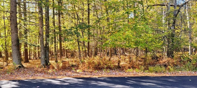 Moscoe Rd, Bethel, NY 12786 - photo 11