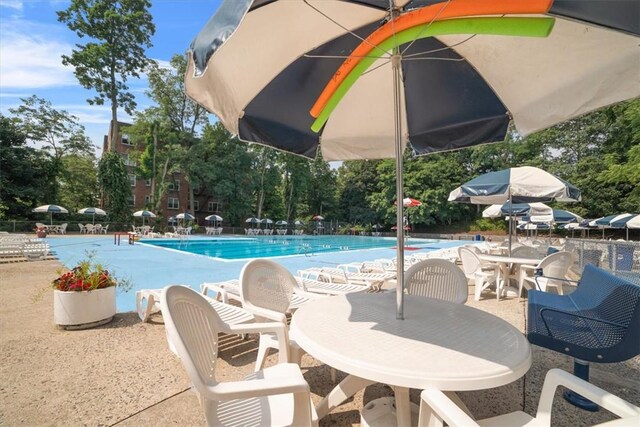 view of pool with a patio