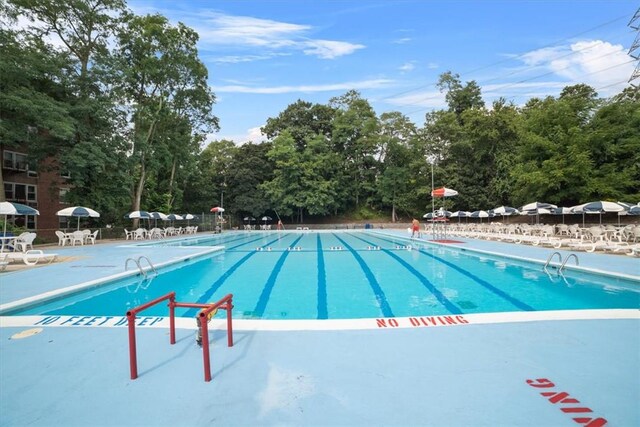 view of swimming pool