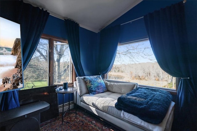 living area featuring carpet and lofted ceiling