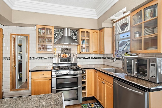 kitchen with sink, wall chimney exhaust hood, stainless steel appliances, decorative backsplash, and ornamental molding