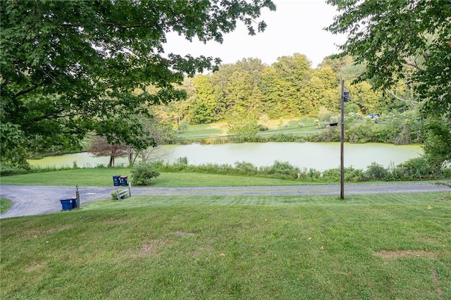 view of community with a water view and a lawn