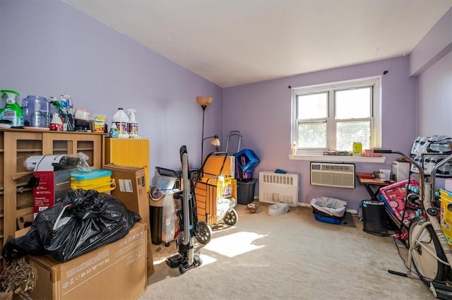 storage with a wall unit AC and radiator