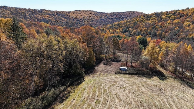 John Milk Rd, Long Eddy NY, 13783 land for sale