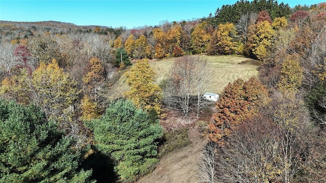 Listing photo 3 for John Milk Rd, Long Eddy NY 13783