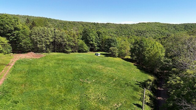 John Milk Rd, Long Eddy, NY 13783 - photo 2