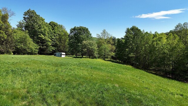 John Milk Rd, Long Eddy, NY 13783 - photo 3