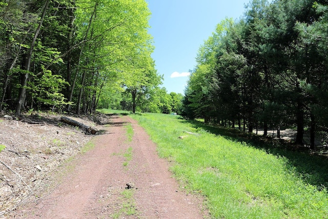 John Milk Rd, Long Eddy, NY 13783 - photo 5