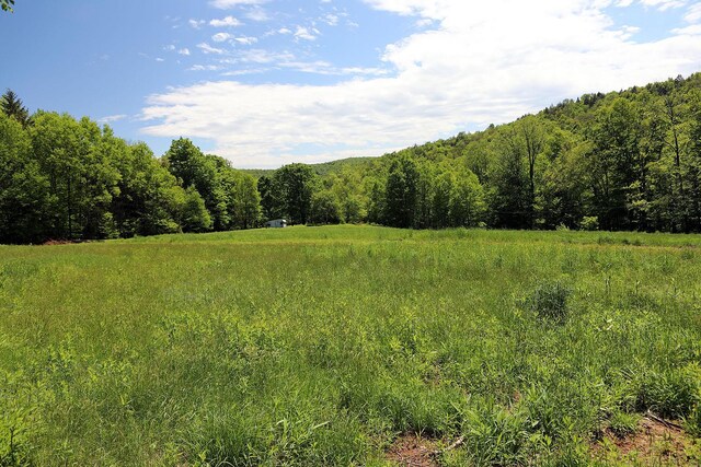 John Milk Rd, Long Eddy, NY 13783 - photo 7