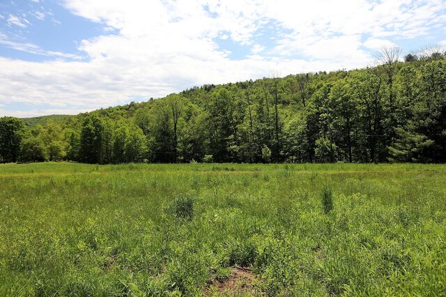 John Milk Rd, Long Eddy, NY 13783 - photo 8