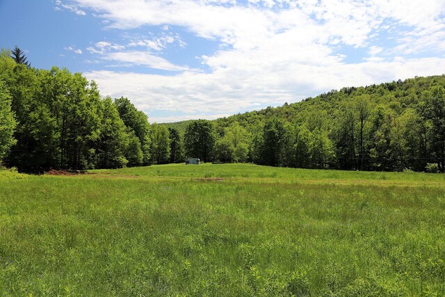 John Milk Rd, Long Eddy, NY 13783 - photo 9