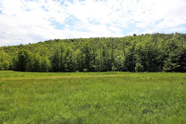 John Milk Rd, Long Eddy, NY 13783 - photo 10