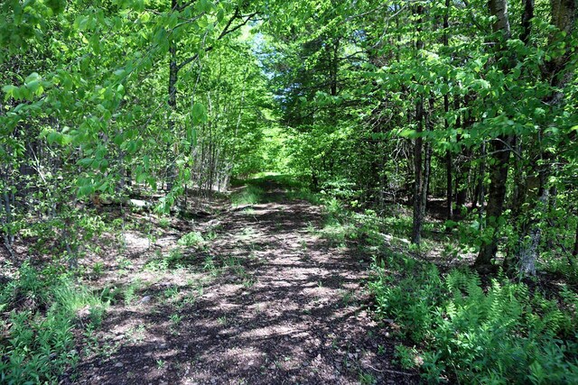 John Milk Rd, Long Eddy, NY 13783 - photo 11