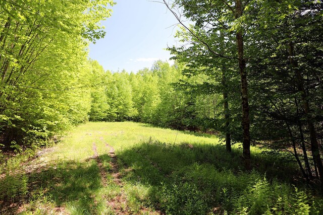 John Milk Rd, Long Eddy, NY 13783 - photo 12