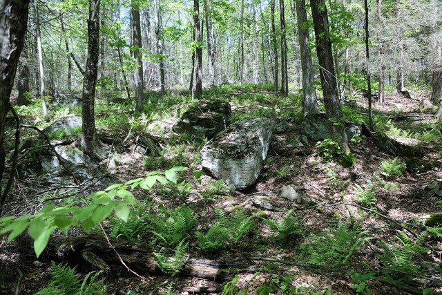 John Milk Rd, Long Eddy, NY 13783 - photo 14
