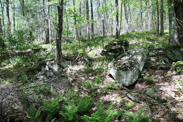 John Milk Rd, Long Eddy, NY 13783 - photo 15