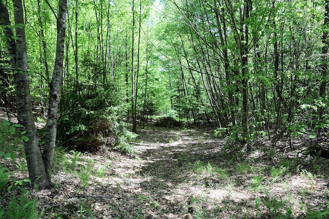 John Milk Rd, Long Eddy, NY 13783 - photo 17