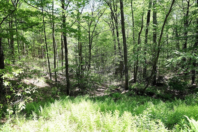 John Milk Rd, Long Eddy, NY 13783 - photo 18