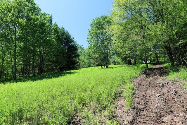 John Milk Rd, Long Eddy, NY 13783 - photo 19