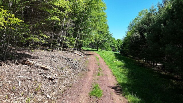 John Milk Rd, Long Eddy, NY 13783 - photo 20