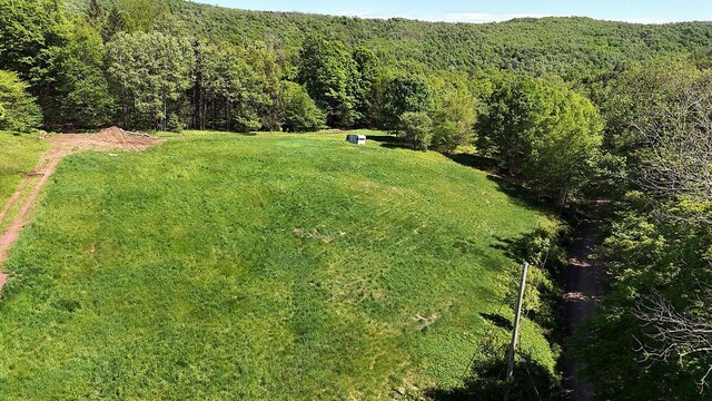 John Milk Rd, Long Eddy, NY 13783 - photo 21