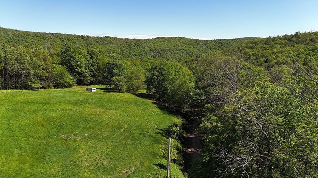 John Milk Rd, Long Eddy, NY 13783 - photo 22