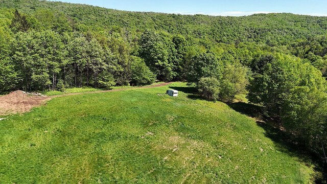 John Milk Rd, Long Eddy, NY 13783 - photo 23